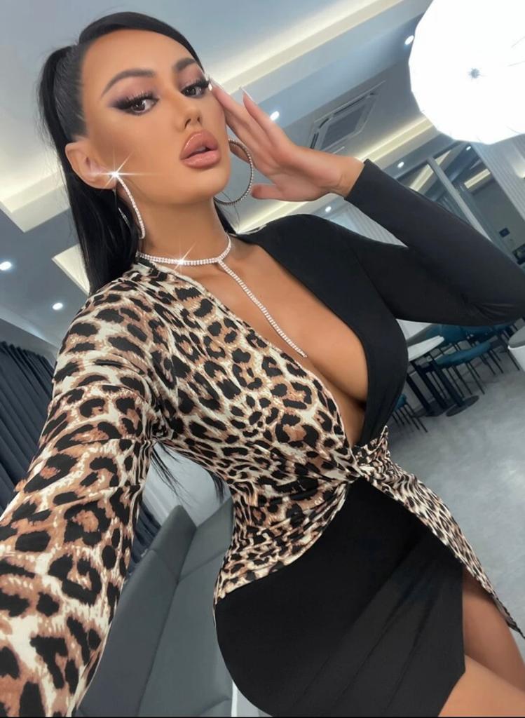 Leopard Print Plunging Neck Twist Asymmetrical Hem Bodycon Dress