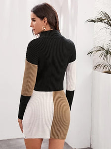Cut and Sew Bodycon Sweater Dress Without Belt freeshipping - Kendiee