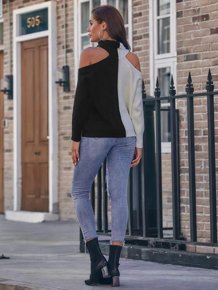Two Tone Cold Sleeve Turtle Neck Sweater freeshipping - Kendiee