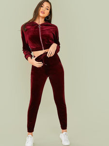 Velvet O-Ring Zip Up Hoodie And Joggers Set freeshipping - Kendiee